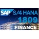 SAP S/4 HANA SIMPLE FINANCE LIVE TRAINING WITH STANDARD DOCS 